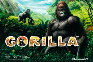 Игровой аппарат Gorilla