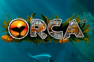 Orca