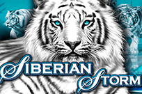 Siberian Storm